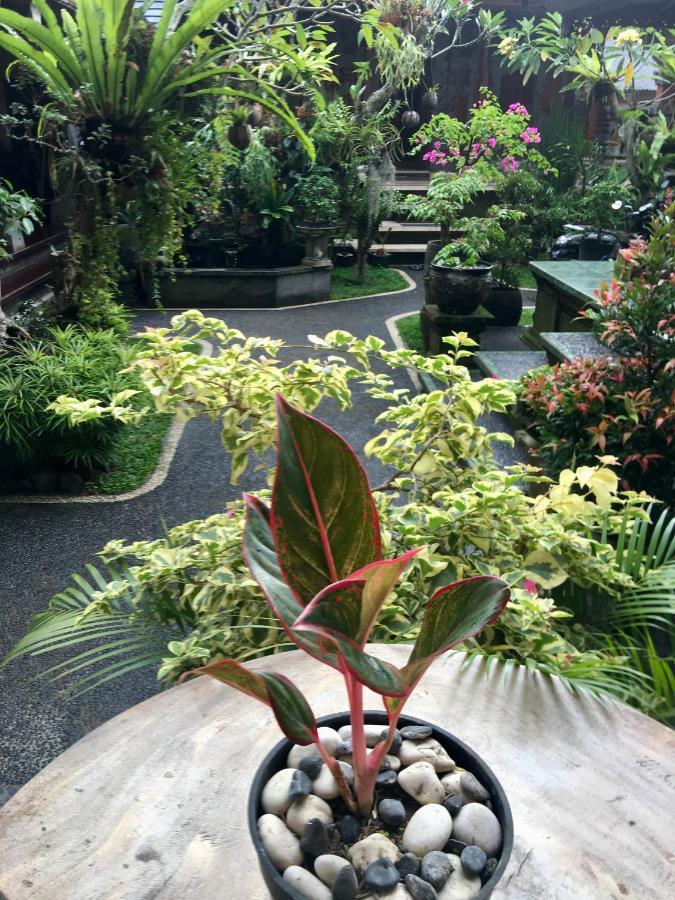 Guest house Wina