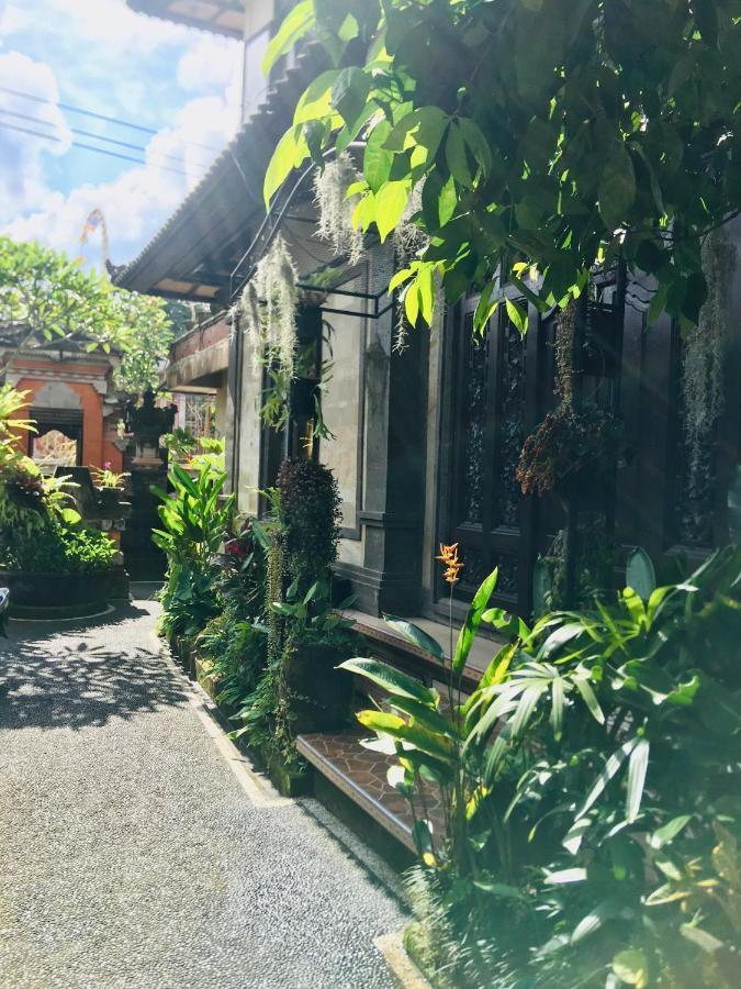 Wina Guest house