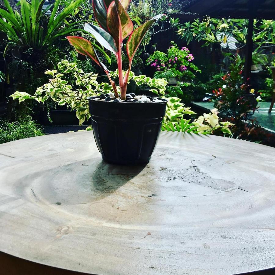 Wina Guest house Ubud (Bali)