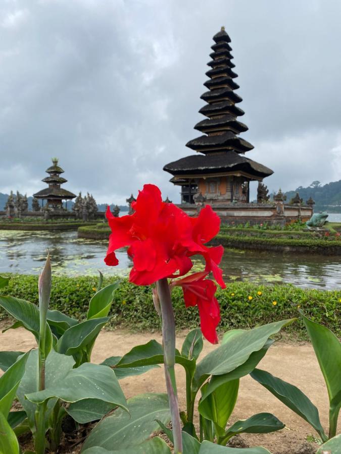 Wina Guest house Ubud (Bali)