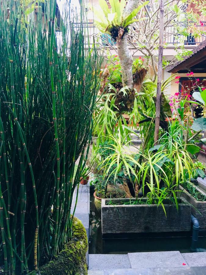 Wina Ubud (Bali)