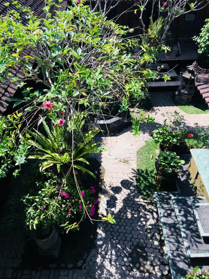 Guest house Wina