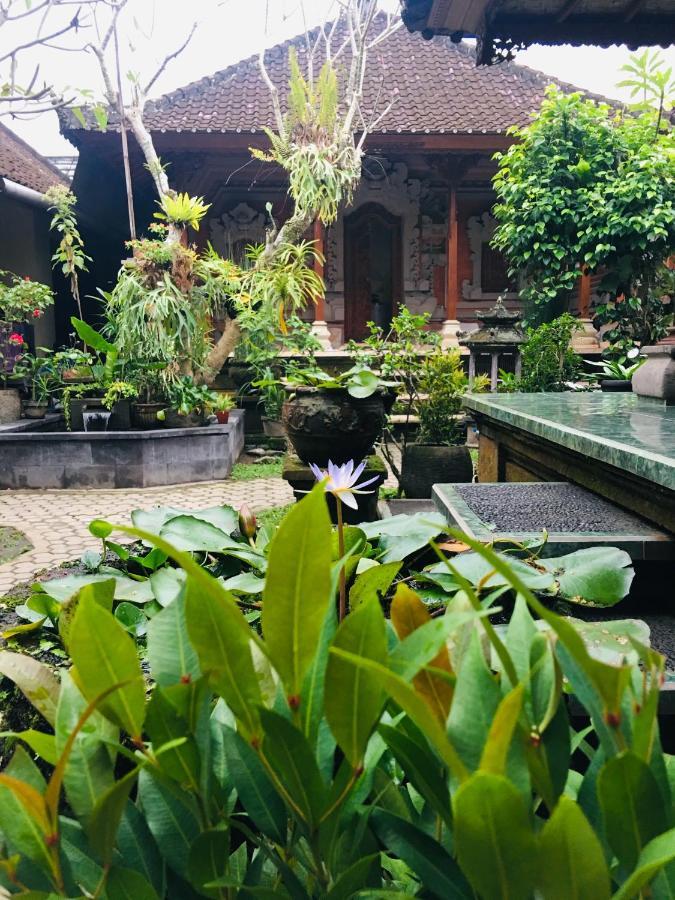 Wina 2* Ubud (Bali)